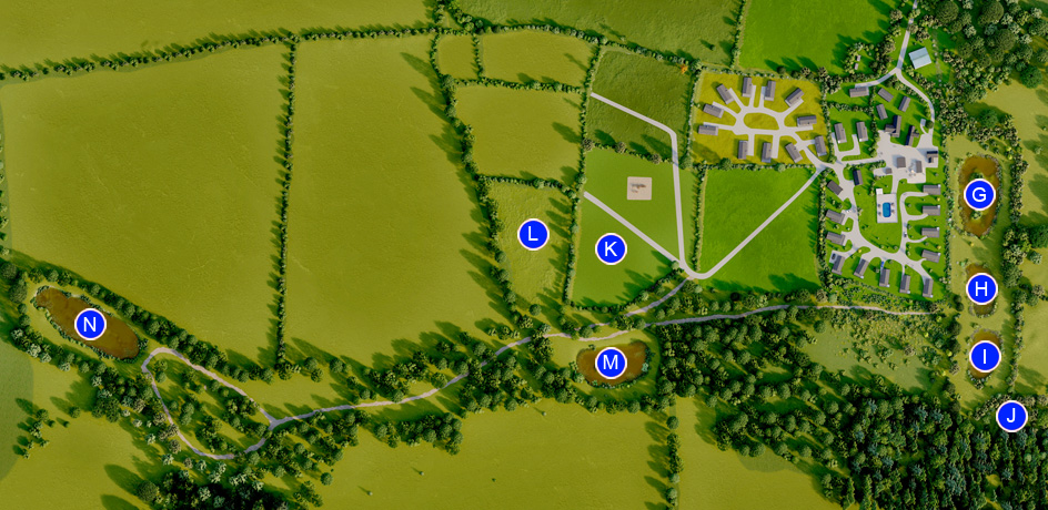 St. Tinney Farm Site Map