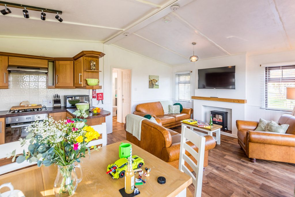 Hazel Lodge at St. Tinney Farm Holidays in Cornwall - Lounge area with free WiFi and 50 inch smart TV