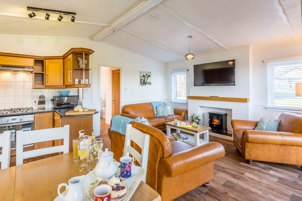 Maple Lodge at St. Tinney Farm Holidays in Cornwall - Lounge area with free WiFi and 50 inch smart TV